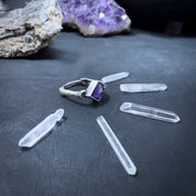 Cat-acombs Portal Ring Amethyst - Bones silver ring - LIMITED