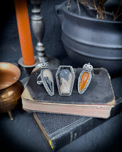 Pumpkin King Petrified Palm Root Ring sz 8.5